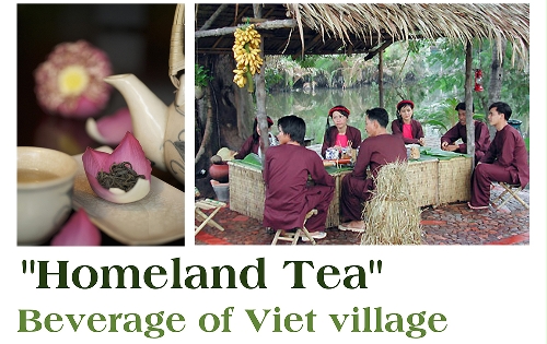 "Homeland Tea" - Beverage of Viet village